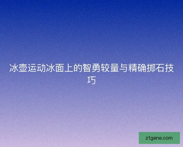 冰壶运动冰面上的智勇较量与精确掷石技巧 冰壶运动冰面上的智勇较量与精确掷石技巧