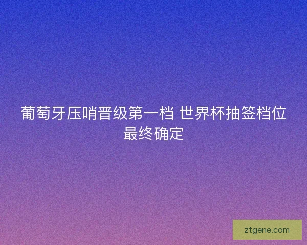 葡萄牙压哨晋级第一档 世界杯抽签档位最终确定