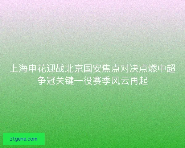 上海申花迎战北京国安焦点对决点燃中超争冠关键一役赛季风云再起