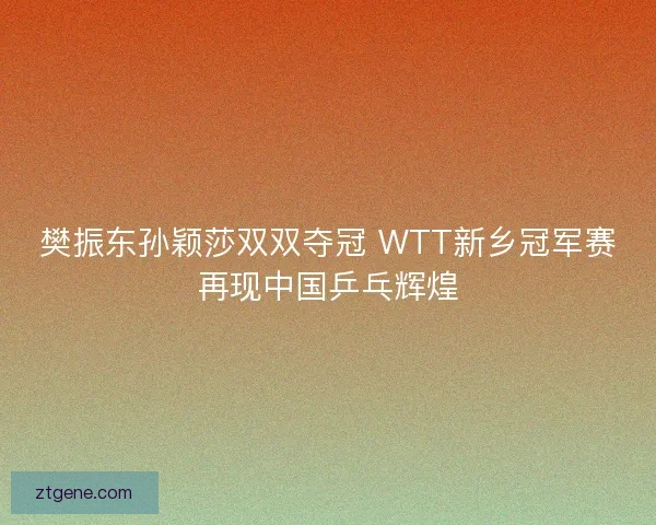樊振东孙颖莎双双夺冠 WTT新乡冠军赛再现中国乒乓辉煌