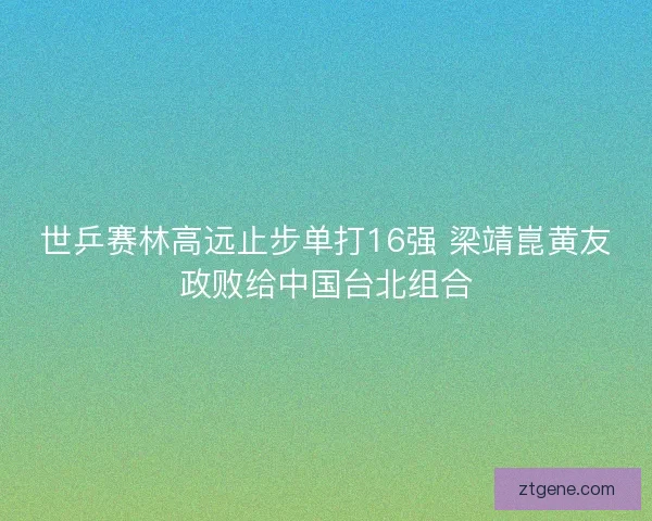 世乒赛林高远止步单打16强 梁靖崑黄友政败给中国台北组合