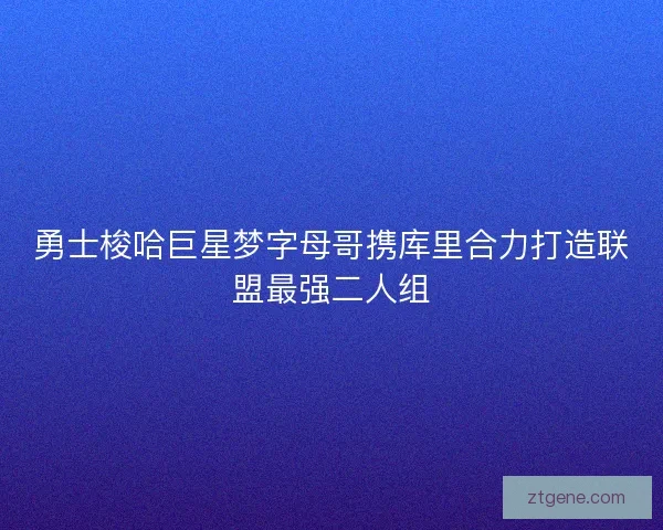 勇士梭哈巨星梦字母哥携库里合力打造联盟最强二人组